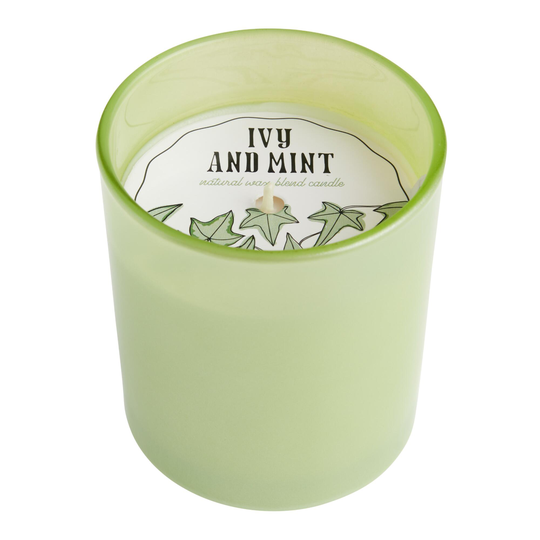 Pier Place Ivy And Mint Votive Scented Candle by World Market