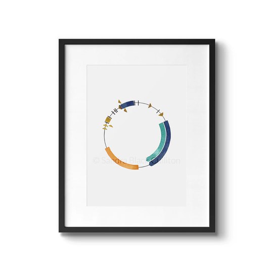 Plasmid 40, Science, Science Art, Print, Teacher Gift, Dna Dna, Watercolor, Watercolor Biology, Genetics