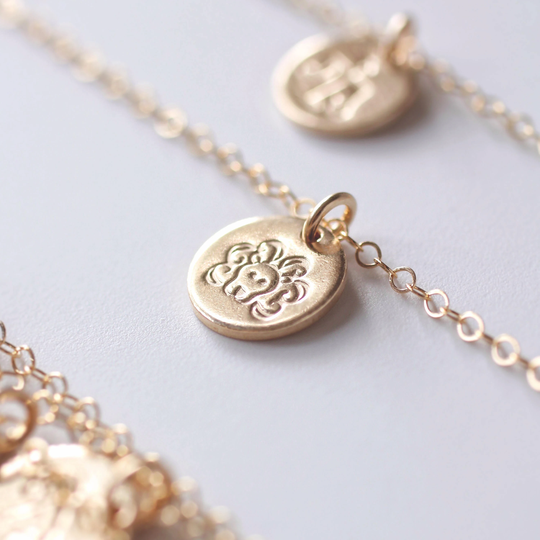 Leo Necklace, Zodiac Gold Jewelry, August Birthday Gift, Sign, Lion Charm, Best Friend Small Charm
