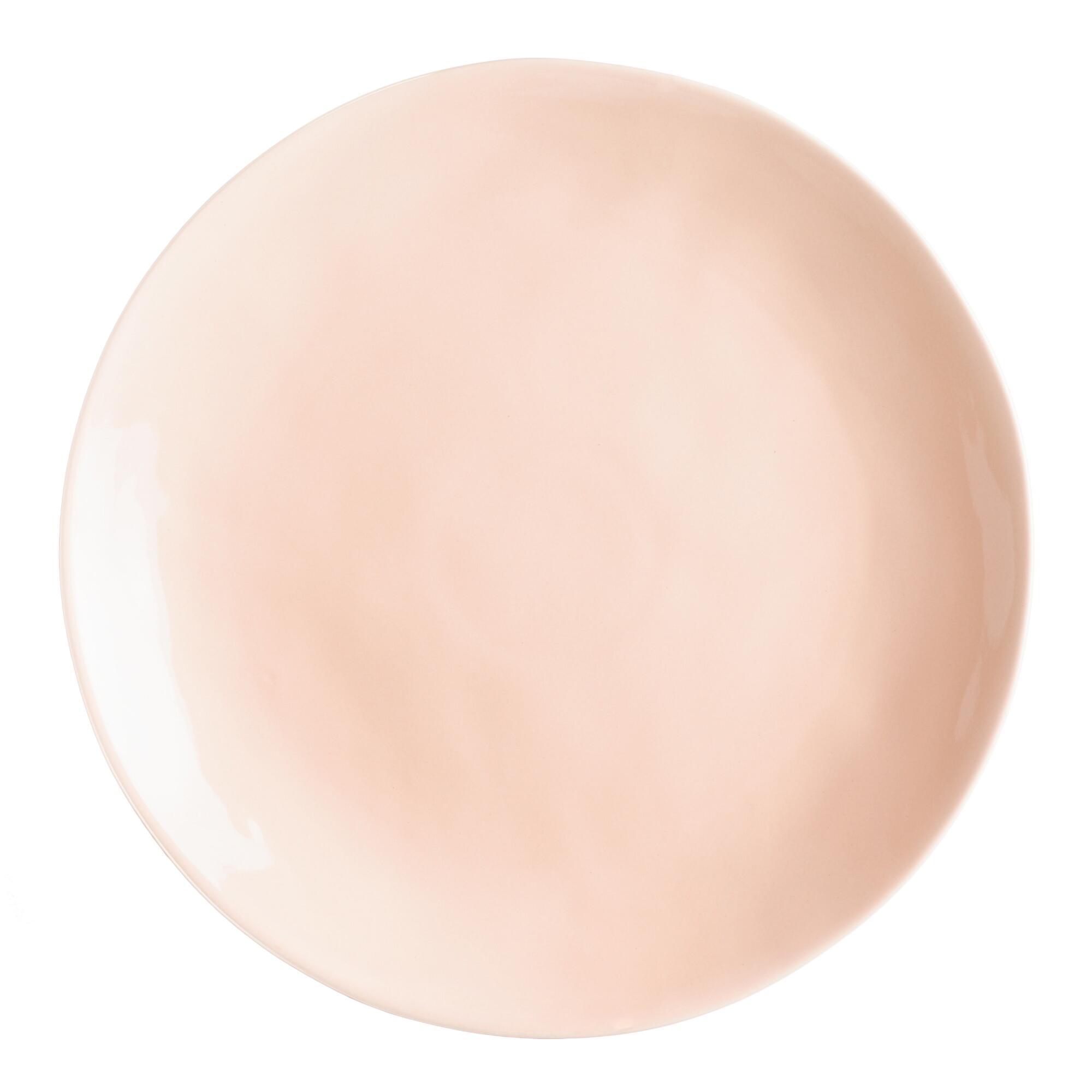 Blush Element Dinner Plates Set of 4: Pink by World Market