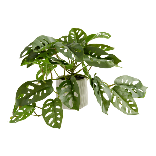 Faux Monstera Plant in Geo Ceramic Pot: Green - Plastic by World Market