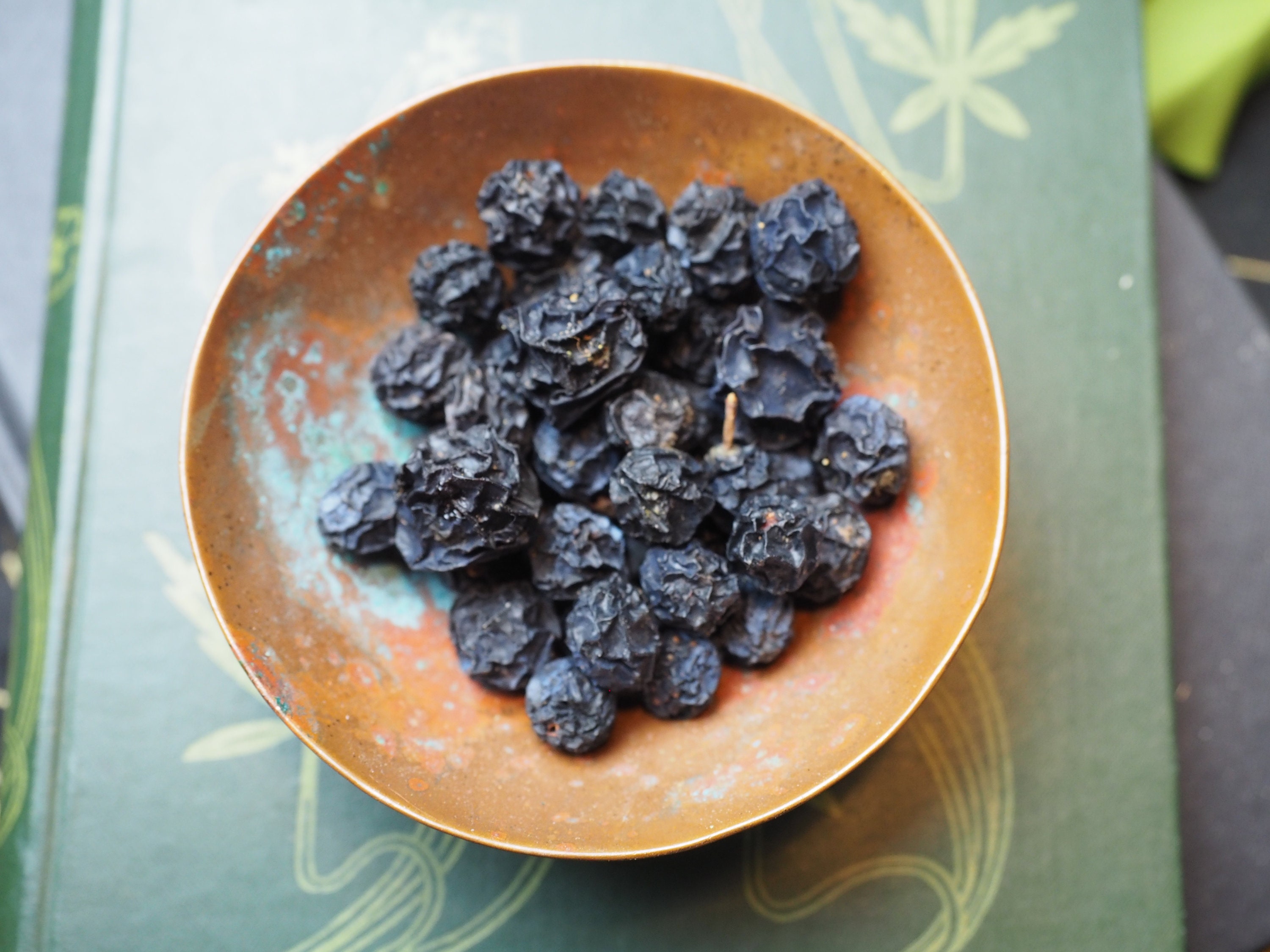 English Sloes - Blackthorn Berries Protection, Blasting Spellwork Or Charms Pagan, Wicca, Witchcraft