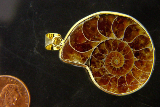 Gold Plated Ammonite Nautiloid Fossil Pendant Necklace Jewelry With 24" Gp Chain 7257P