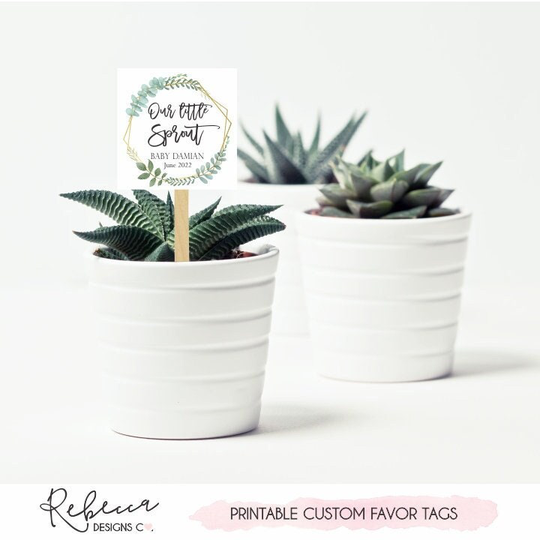 Our Little Sprout Tags Watch Me Grow Favor Succulent Plants Printable Baby Shower Favors 323