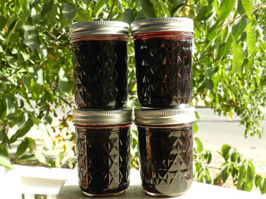 Wild Mountain Huckleberry Jam, 1 | One 8Oz Jar, Small Batch, Hand Picked Wild Crafted Huckleberries, Oregon Made, Pacific Northwest Jams