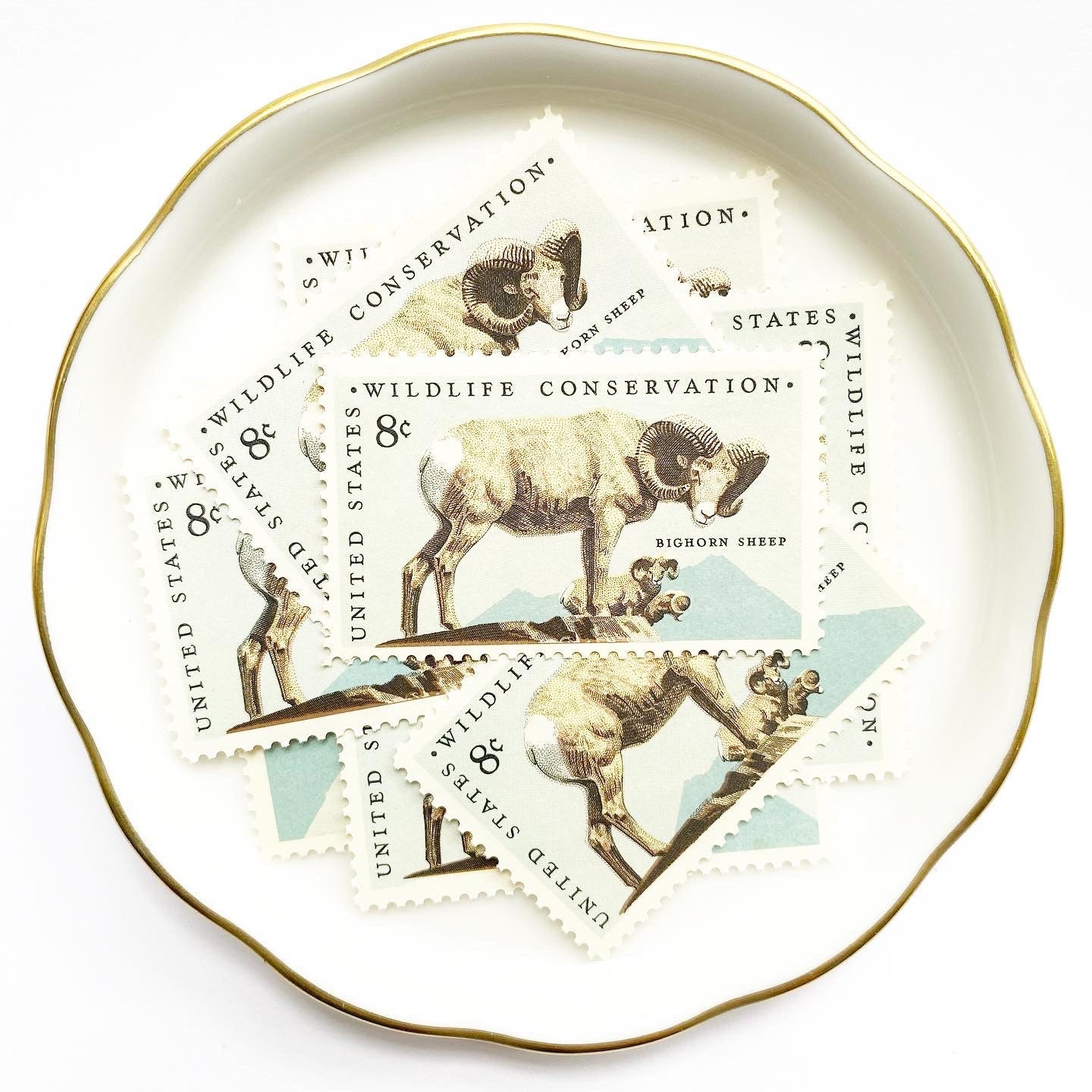 Blue Vintage Unused Postage Mail Stamps Us // Pale Blue Beige Ram Wildlife Conservation 8 Cents 1972