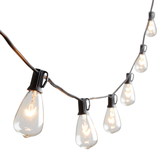 Edison Style 30 Bulb String Lights by World Market