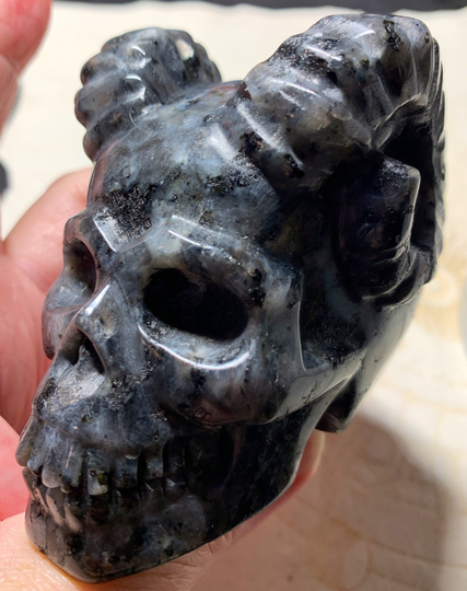 Larvakite Skull With Ram Horns 3.2"x2.2"