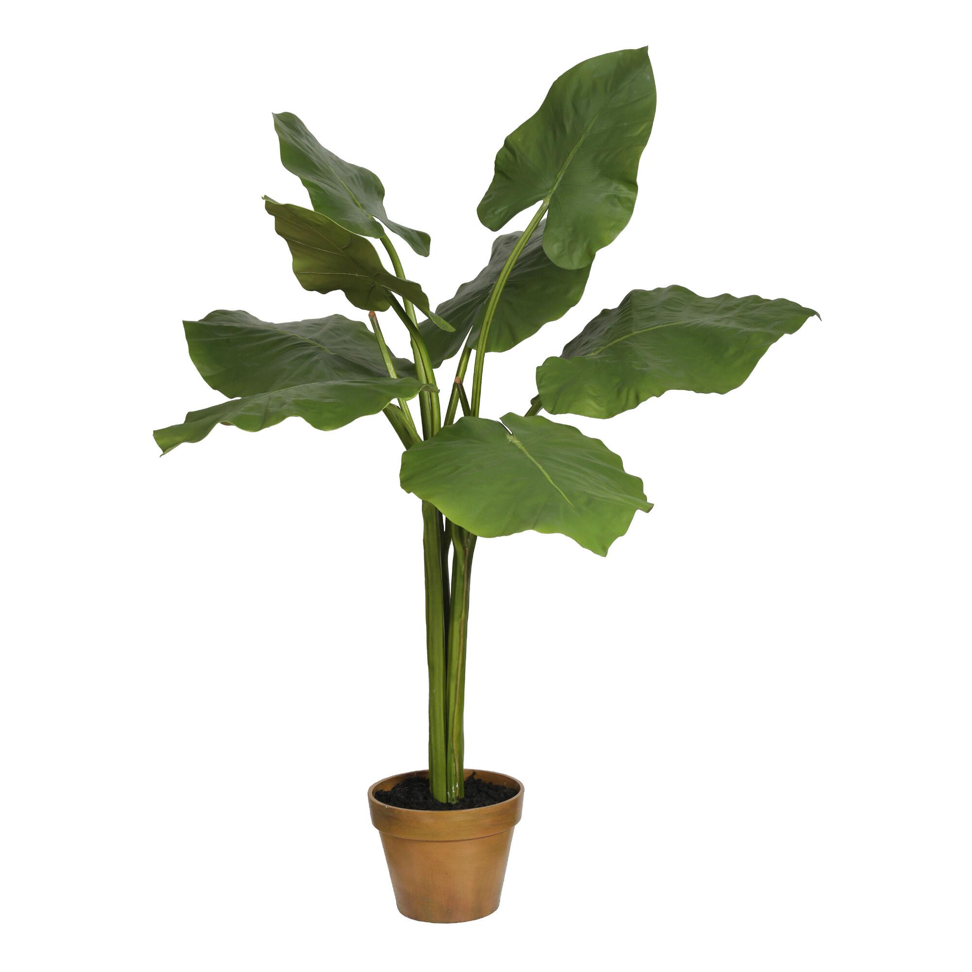 Faux Alocasia Tree by World Market