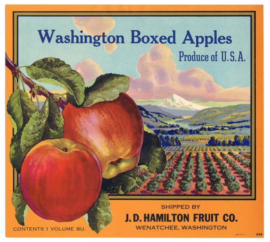 Original Vintage Apple Crate Label 1940S Washington Boxed Apples Wenatchee State Landscape Mountains Hamilton