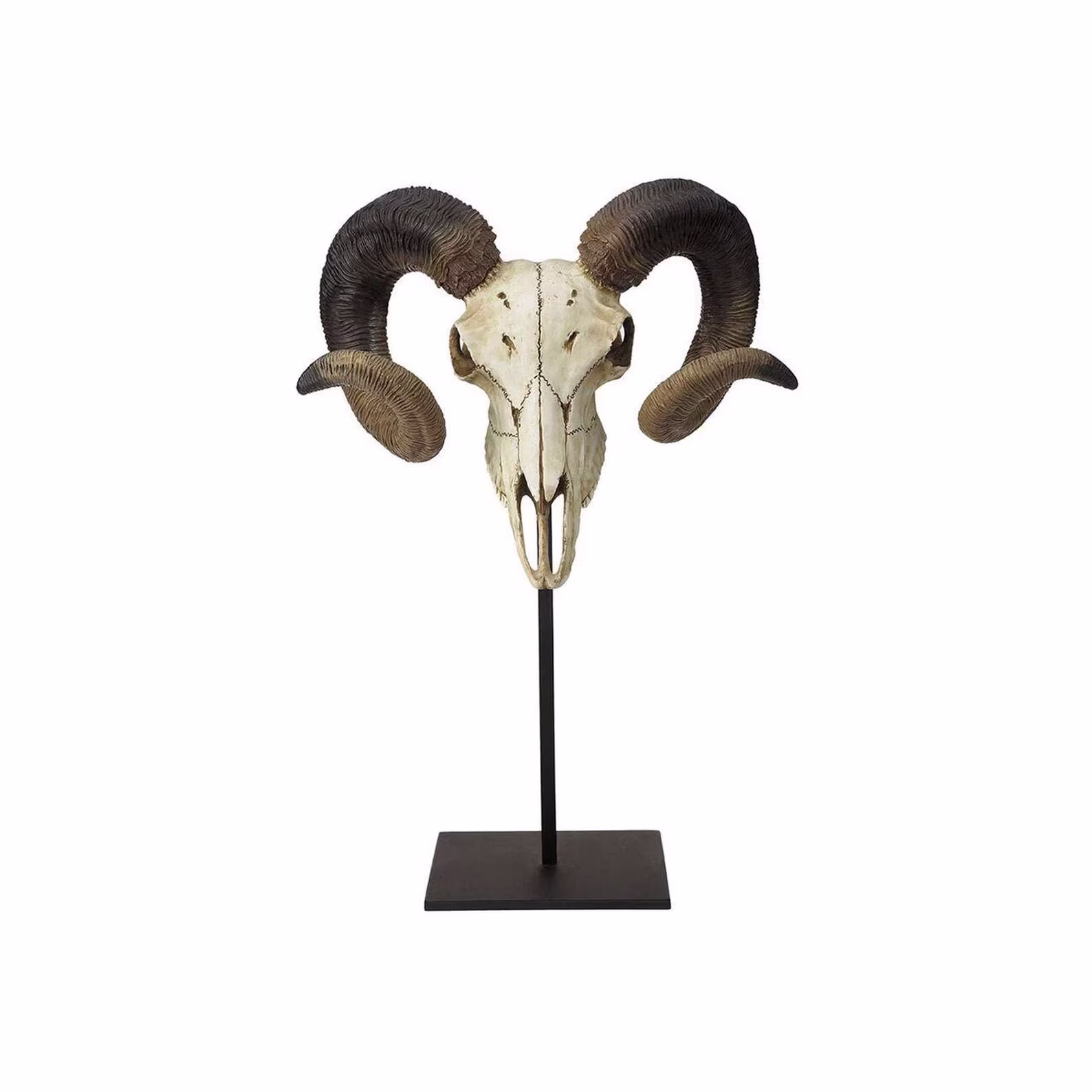 18.25 Inch Big Horn Skull Decorative Wall Plaque