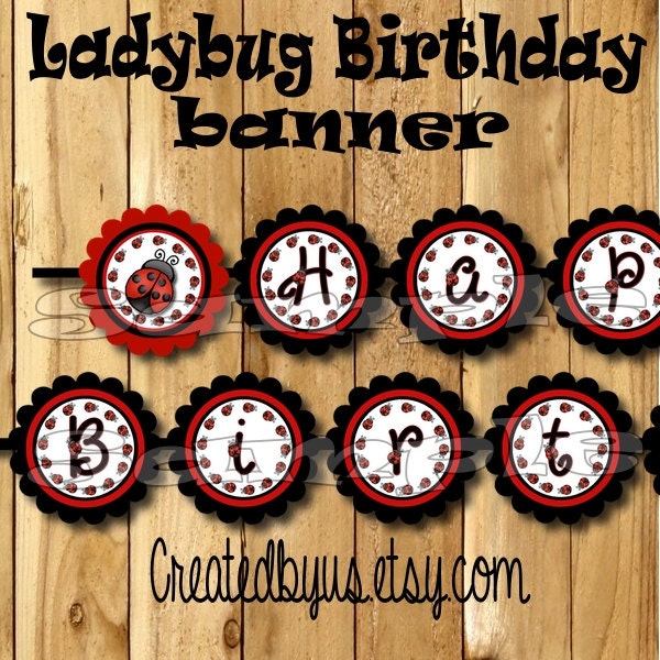 Girl Ladybug Birthday Banner Little Lady Party Decortaions Bug Banner Lil Sign Theme Happy Birthday Name