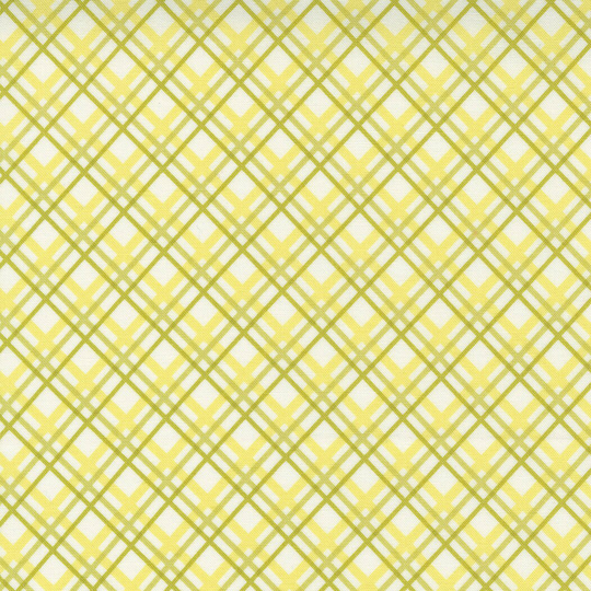 Plaid Blender Sprout From Pumpkins & Blossoms Collection By Fig Tree & Co For Moda Fabrics