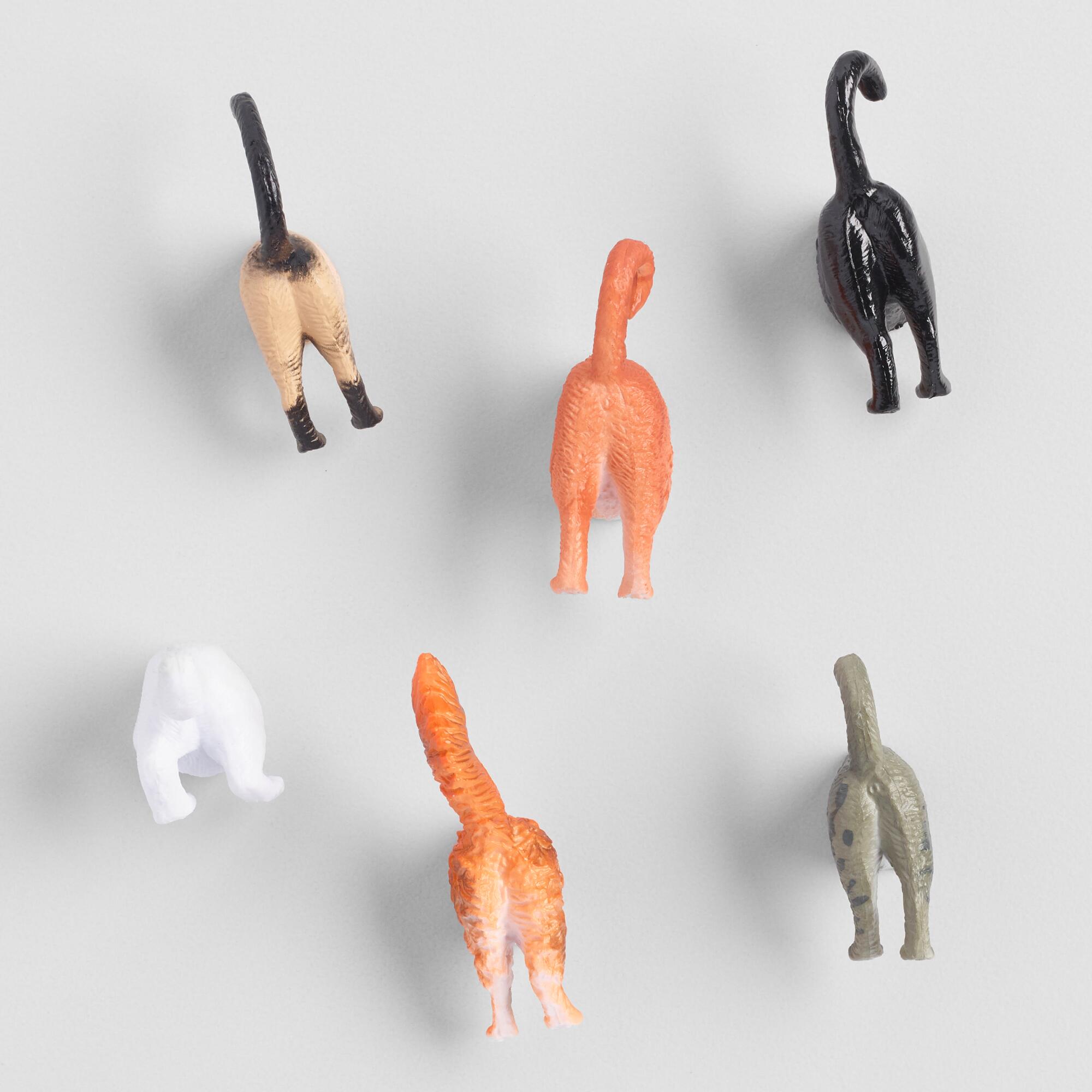 Cat Butt Magnets 6 Pack by World Market
