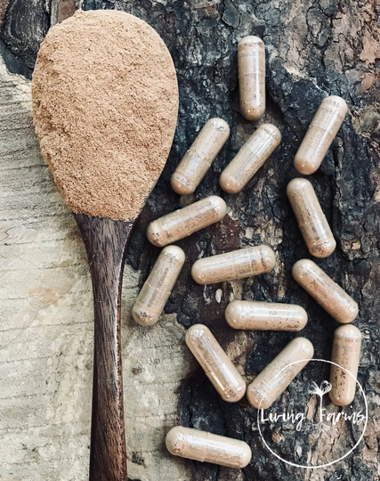 Cat's Claw Bark Capsules
