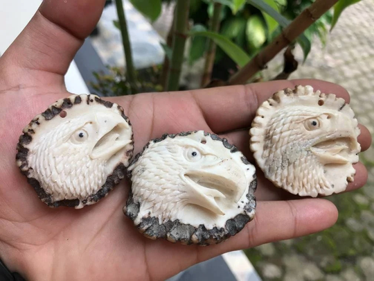 Antler Carving - Hand Carved Face Eagle From Bottom Deer Antler For Pendant/Key Chain