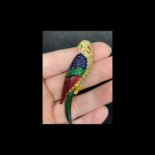 Vintage Swallow, Bird Of Paradise Or Parrot Pin With Rhinestones