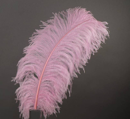 2 Pcs Ostrich Feather Plumes 23-30" Light Pink