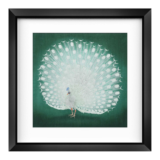Proud Peacock Framed Wall Art by World Market