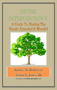 Divine Intervention V: A Guide To Healing The Family: Extended & Blended Sandye M Roberts Arthur L Jones III Author