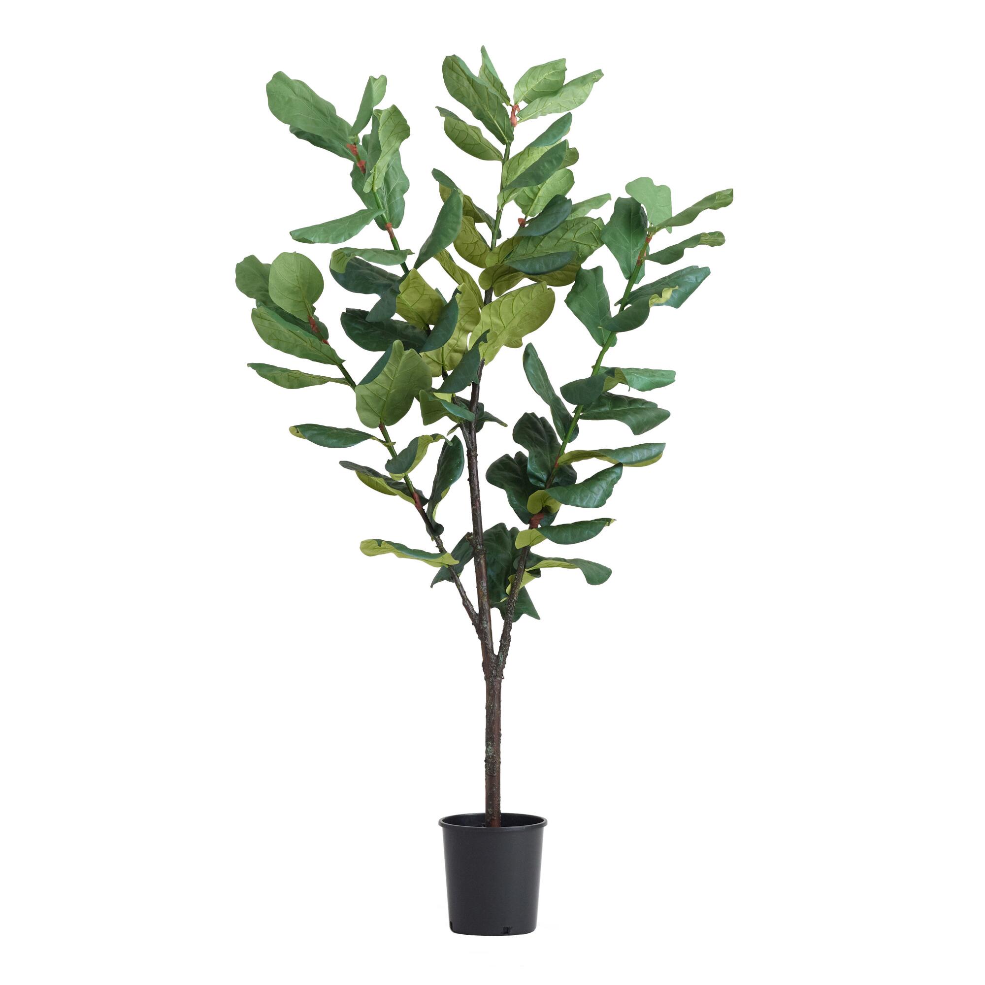 Faux Fiddle Leaf Fig Tree by World Market