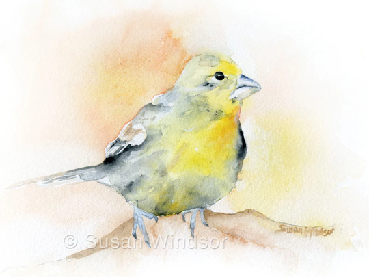 Goldfinch Bird Watercolor Painting Giclee Fine Art Print Reproduction
