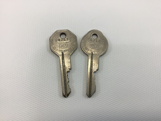 Vintage Gm Keys General Motors Briggs & Stratton Milwaukee
