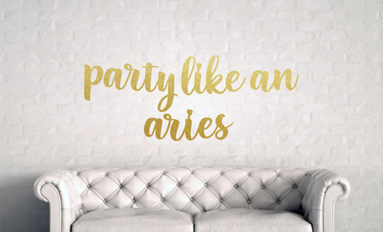 Party Like A Aries Birthday Banner, Season Birthday, Zodiac Season, Adult Decor