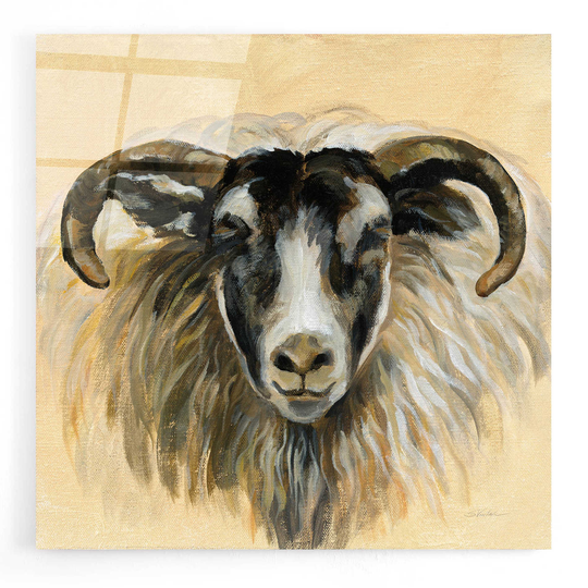 Acrylic Glass Wall Art "Highland Animal Ram' By Silvia Vassileva