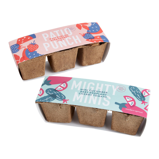 Modern Sprout Seed Trio Grow Kit: Multi - Natural Fiber by World Market