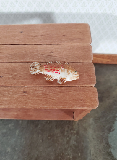 Miniature Fish Grouper For Dollhouse Food Seafood Grocer Grocery Store 1 1/4"