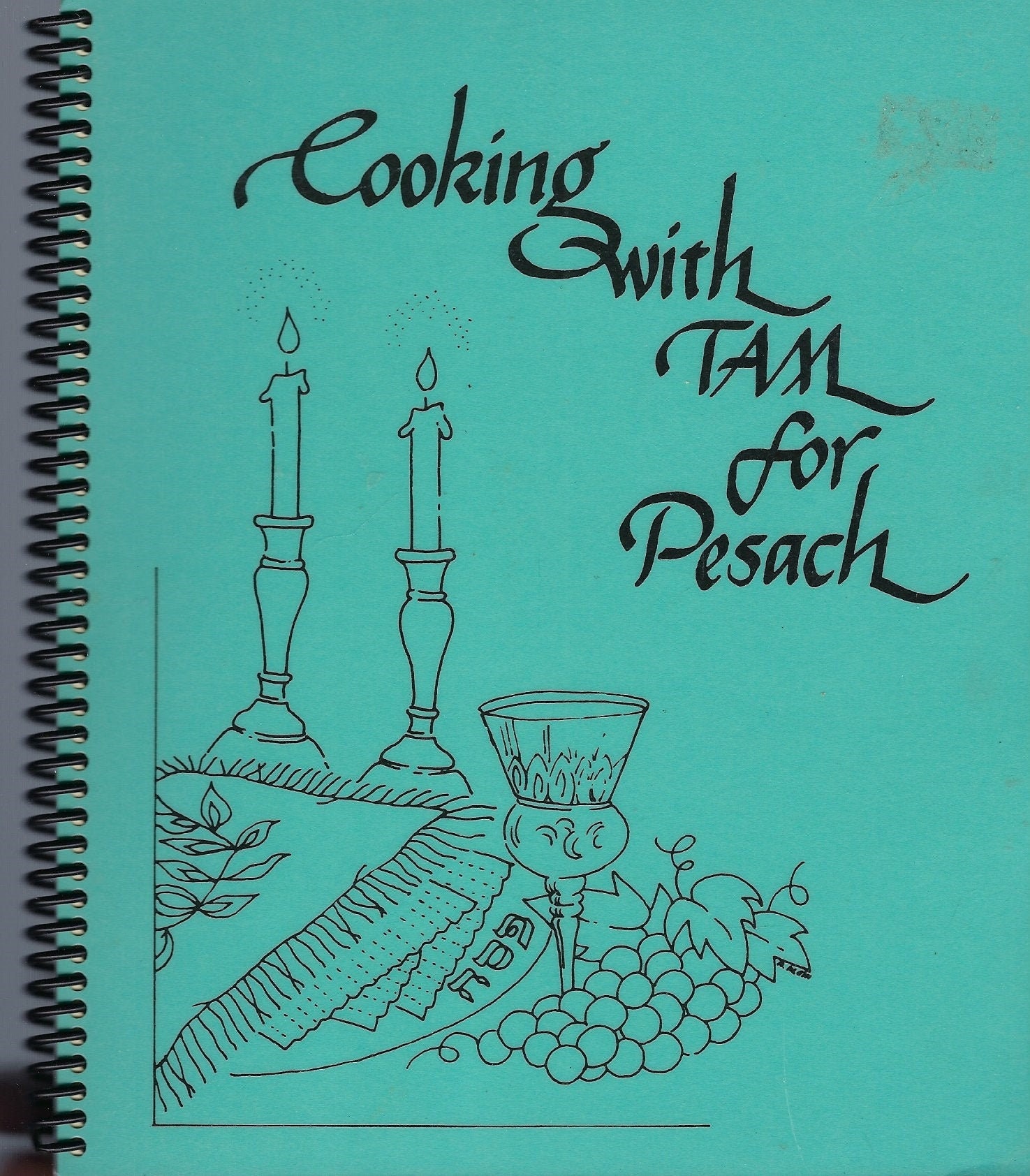 Milwaukee Wisconsin Vintage Torah Academy Cooking With Tam For Pesach Ethnic Jewish Cookbook Wi Community Favorite Recipes Rare Cook Book
