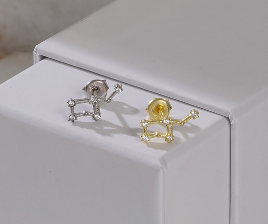 Aquarius Earring, Zodiac Constellation Earrings, Studs, Astrology Horoscope Earring