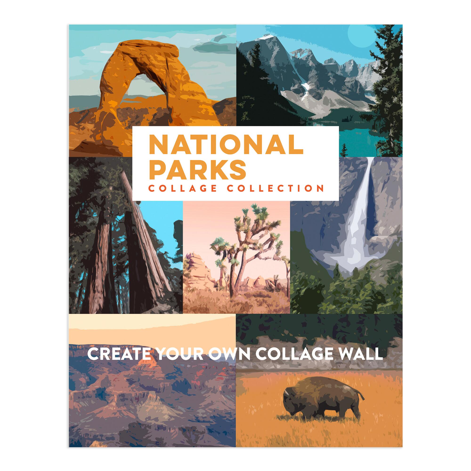 National Parks Wall Art Prints 7 Piece: Multi by World Market