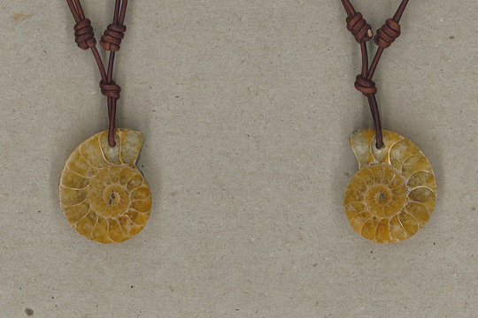 Matching Pair Of Fossil Ammonite Pendants Adjustable Leather Necklace Handmade By Chris Hay