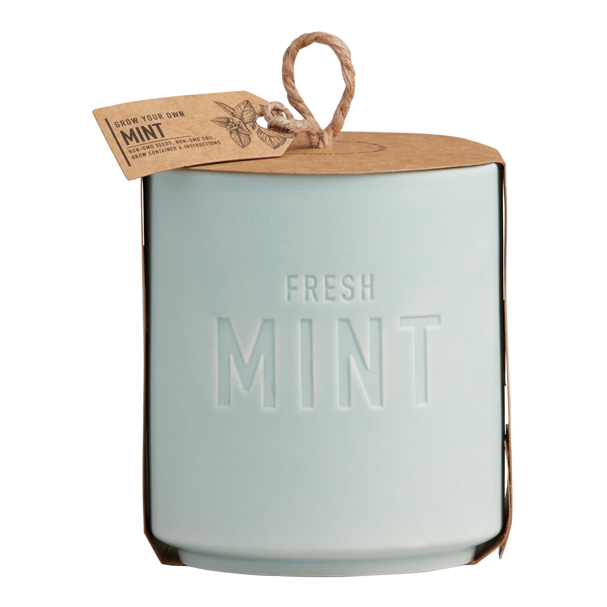 Urban Agriculture Fresh Mint Ceramic Planter Grow Kit: Multi by World Market