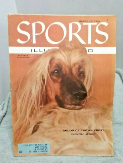 Sports Illustrated March 12 1956 Champion Afghan Taejon Of Crown Crest Vintage
