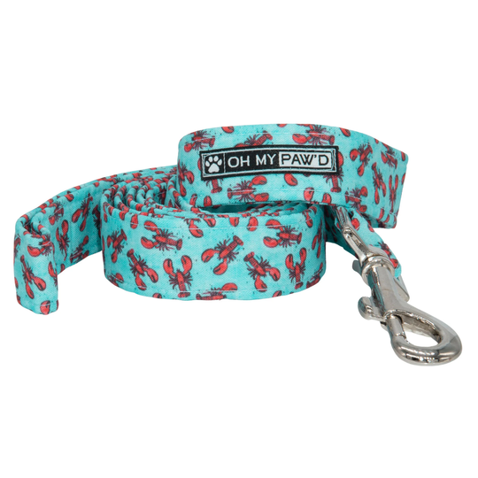 Lobster Dog Leash For Girl Or Boy, Summer Leash, Colorful Cute Designer Gift, Custom Handmade Pet