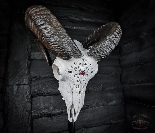 Made To Order Real Ram Skull Carving Engraved Celtic Cross With Ruby Stone in Center Led Wall Plague Black Horns Shipping Worldwide Art