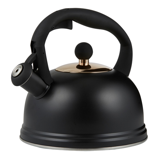 Typhoon Otto Black Stainless Steel Tea Kettle by World Market