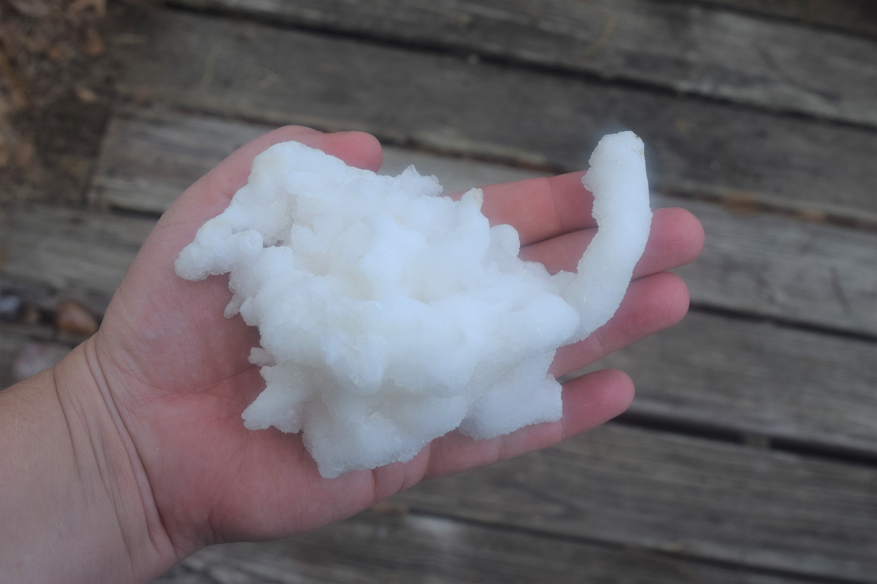 xl 13 Oz Rams Horn Selenite