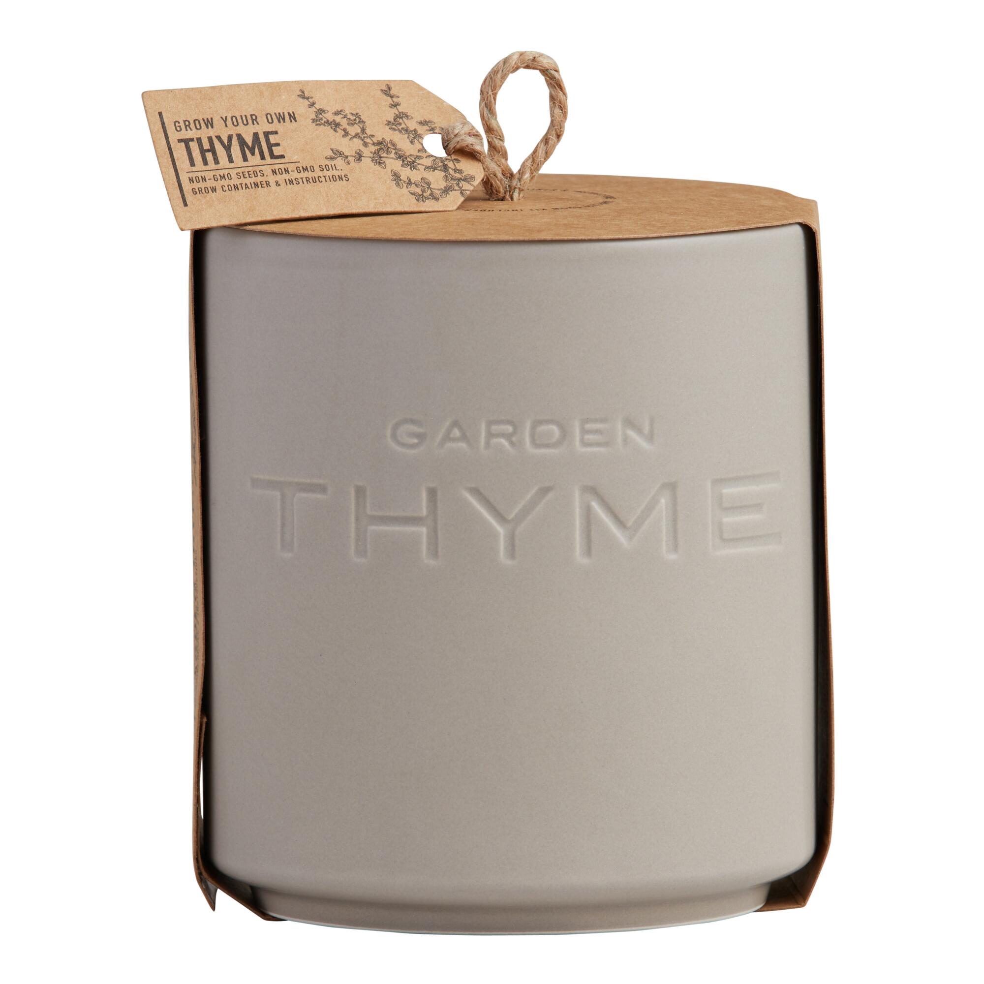 Urban Agriculture Garden Thyme Ceramic Planter Grow Kit: Multi by World Market