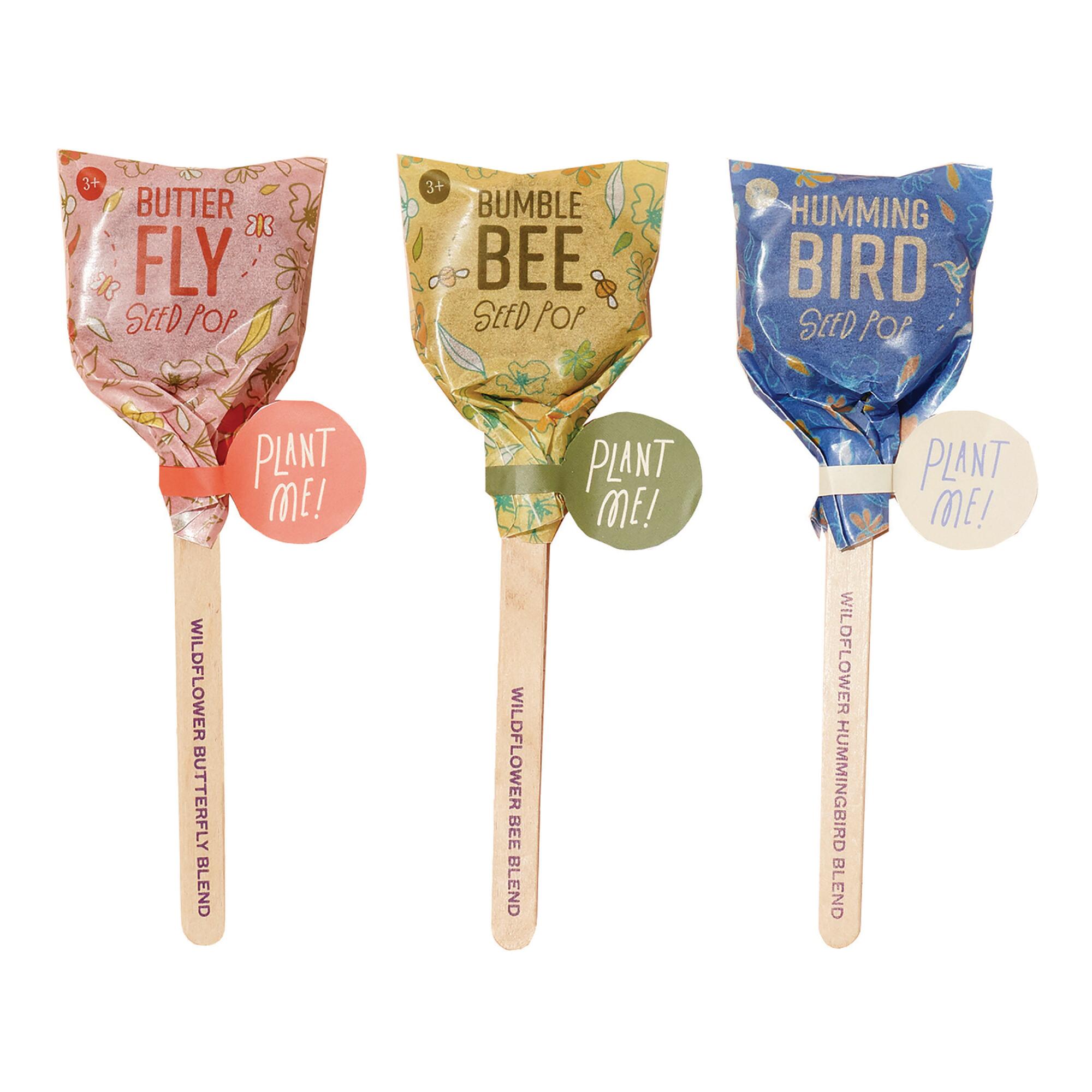 Modern Sprout Pollinator Seed Lollipops Set of 3 by World Market