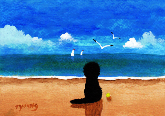 Black Labradoodle Dog Folk Art Print By Todd Young At The Beach