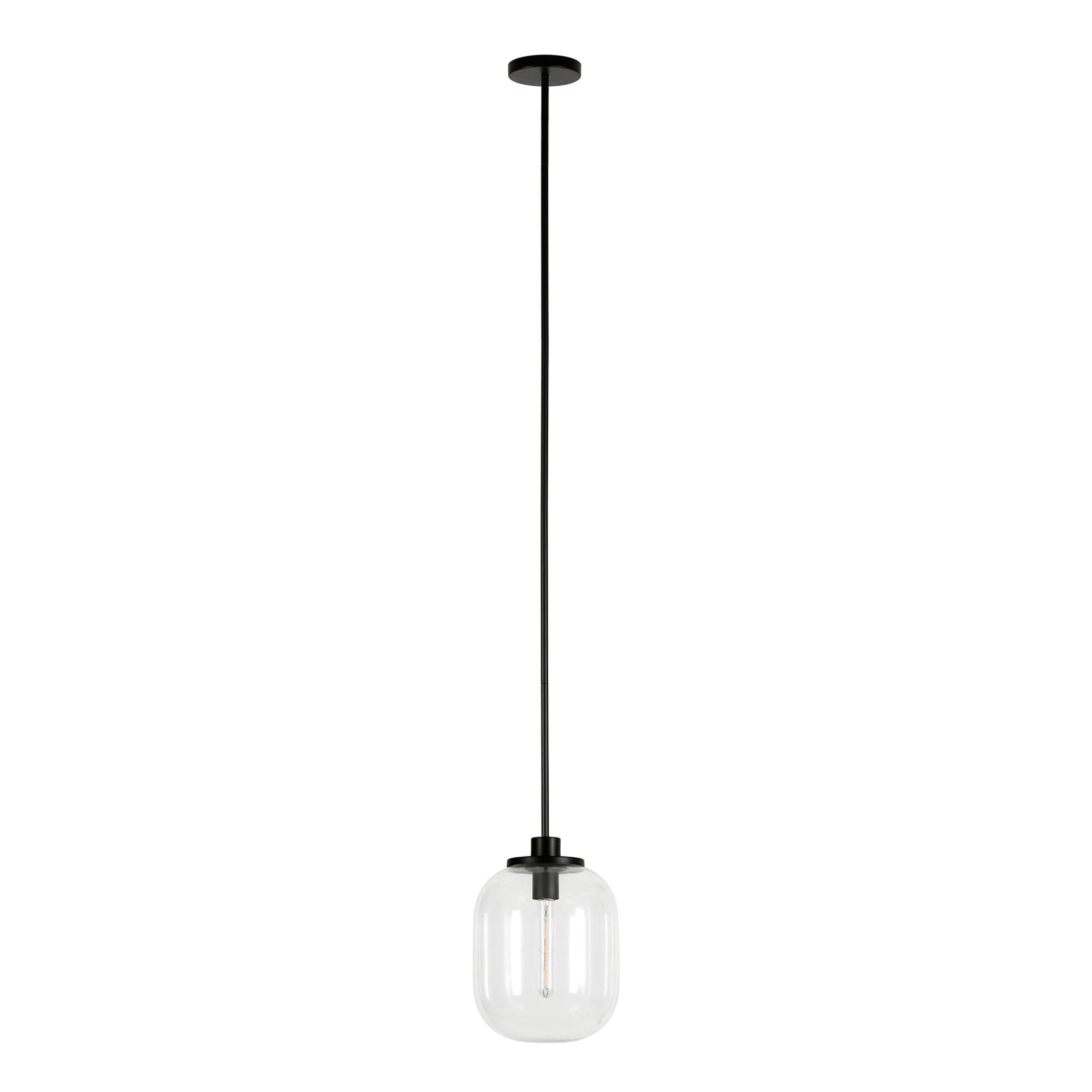 Clear Glass Cylinder and Metal Marina Pendant Lamp: Black by World Market