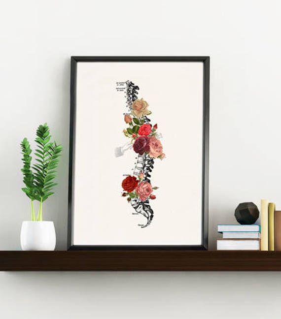 Wall Art Print Springtime Roses Spine Anatomical Ska137Wa4