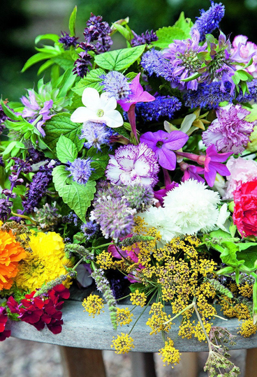 Fragrant Flowers Blend - Wild Meadow 1G/300 Organic Seeds Gmo Free