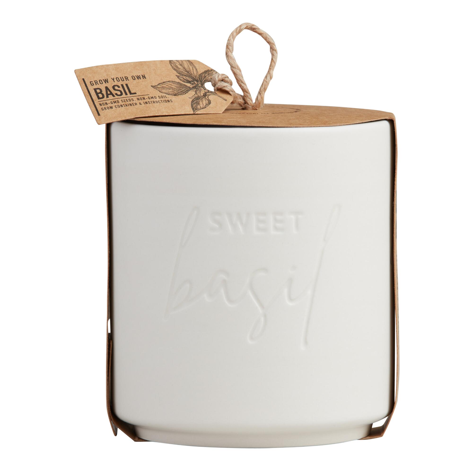 Urban Agriculture Sweet Basil Ceramic Planter Grow Kit: Multi by World Market