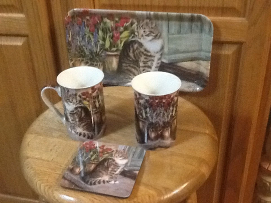 Beautiful Cat Scene Coffee Set Large Melamine Tray Two Mugs & Coaster