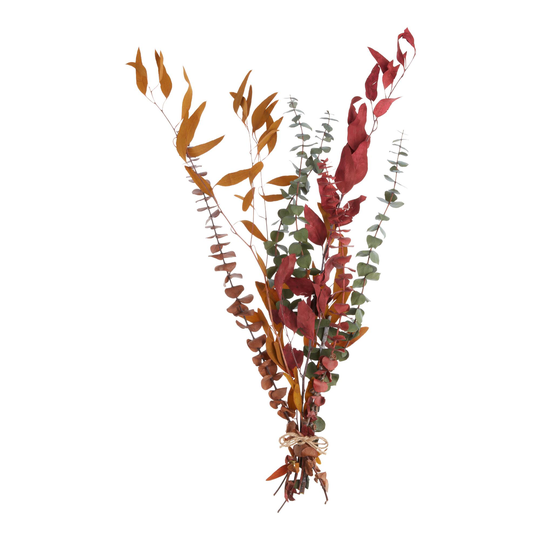 Dried Tricolor Willow Eucalyptus Bunch: Multi - Natural Fiber by World Market